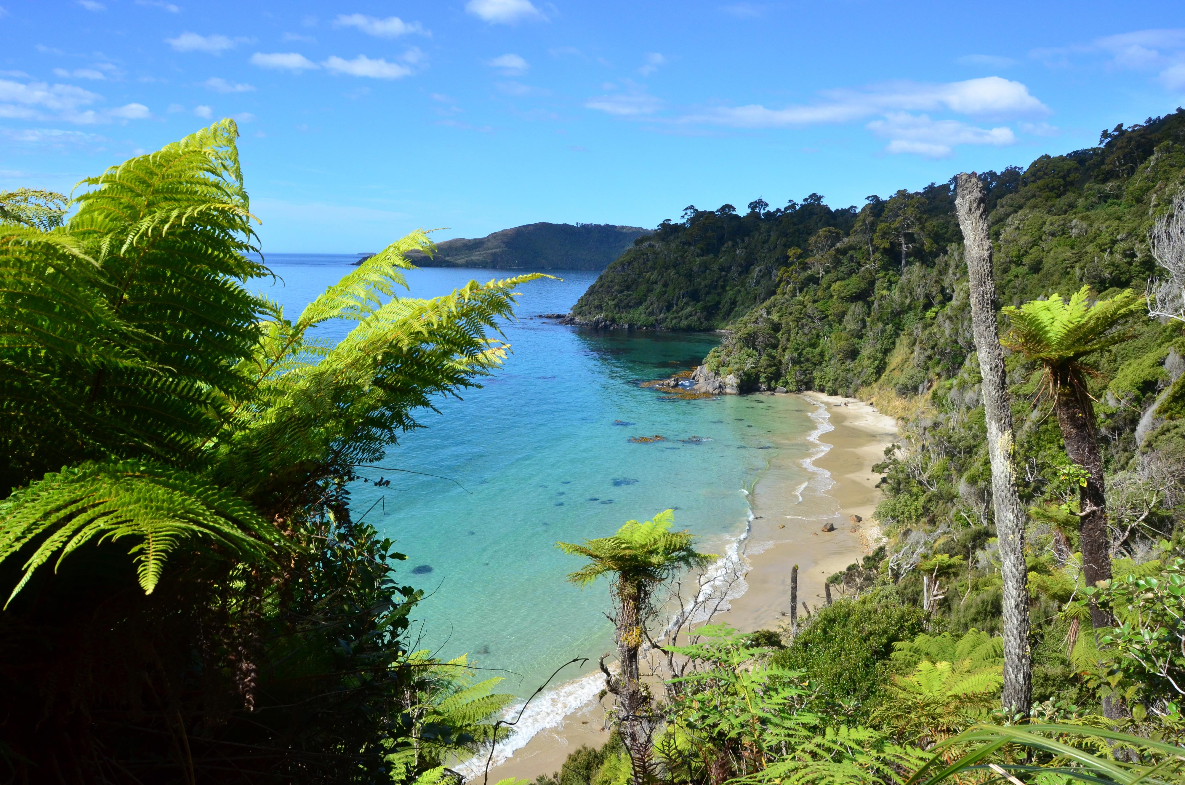 Catlins Coast & Stewart Island Neuseeland
