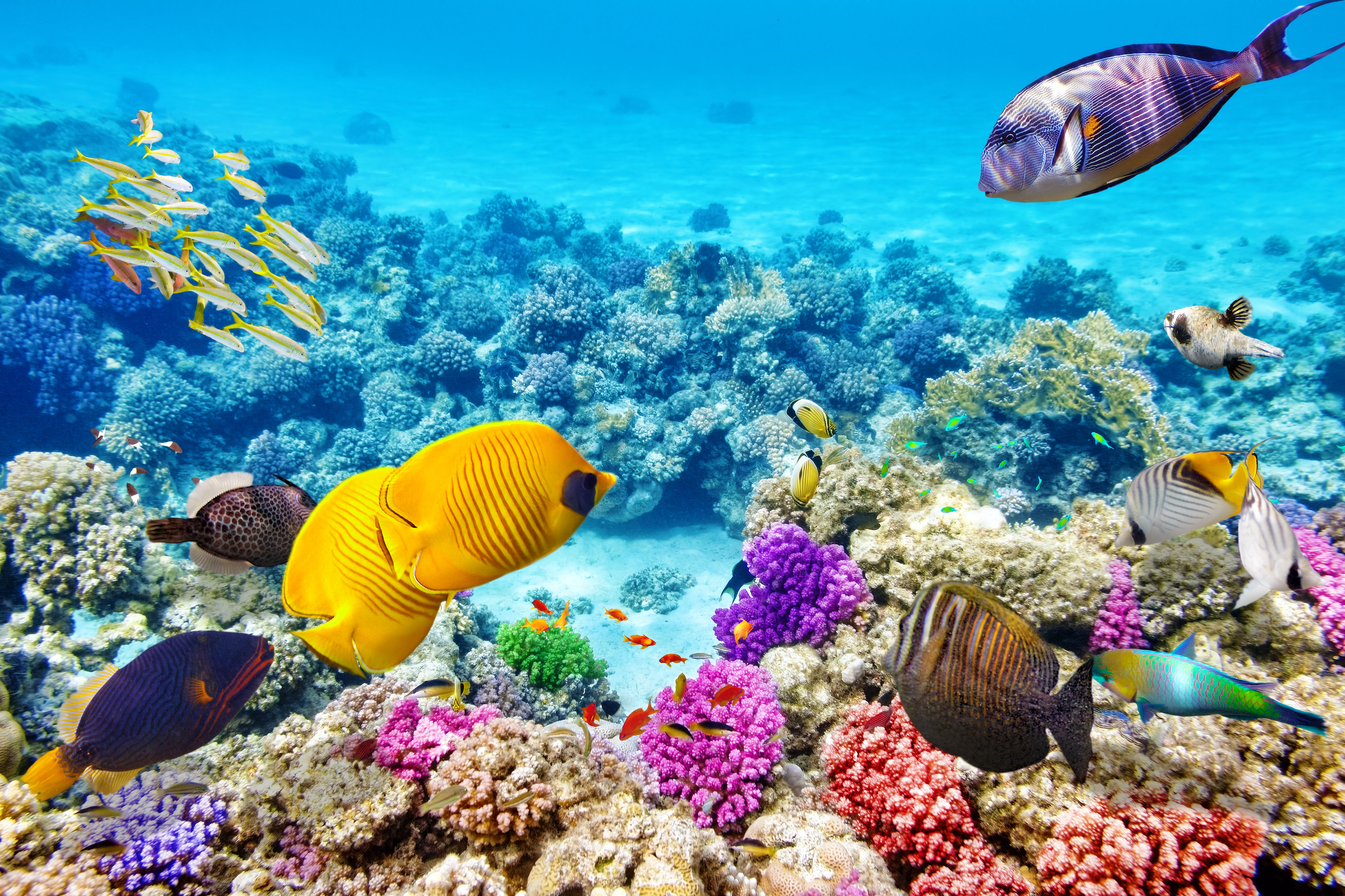 Queensland Australien
