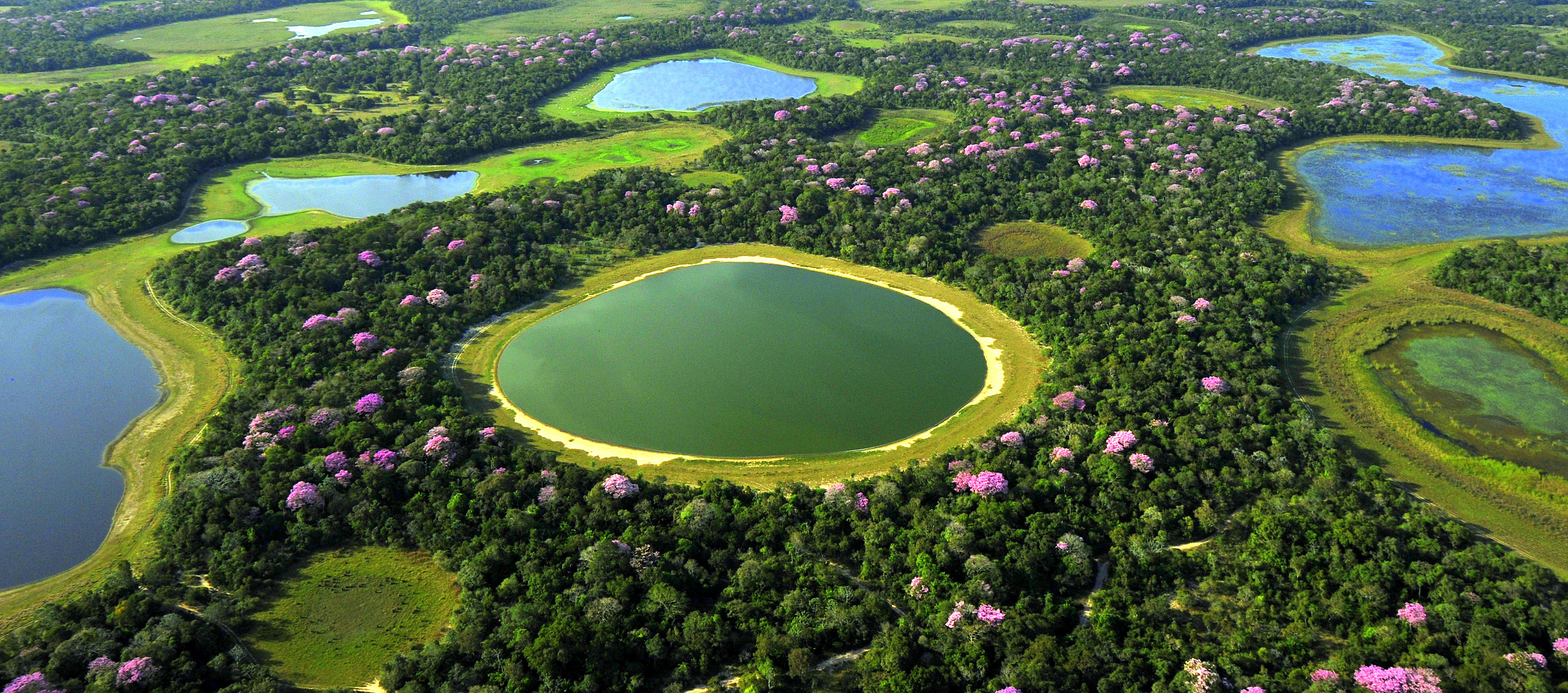 Pantanal Brasilien