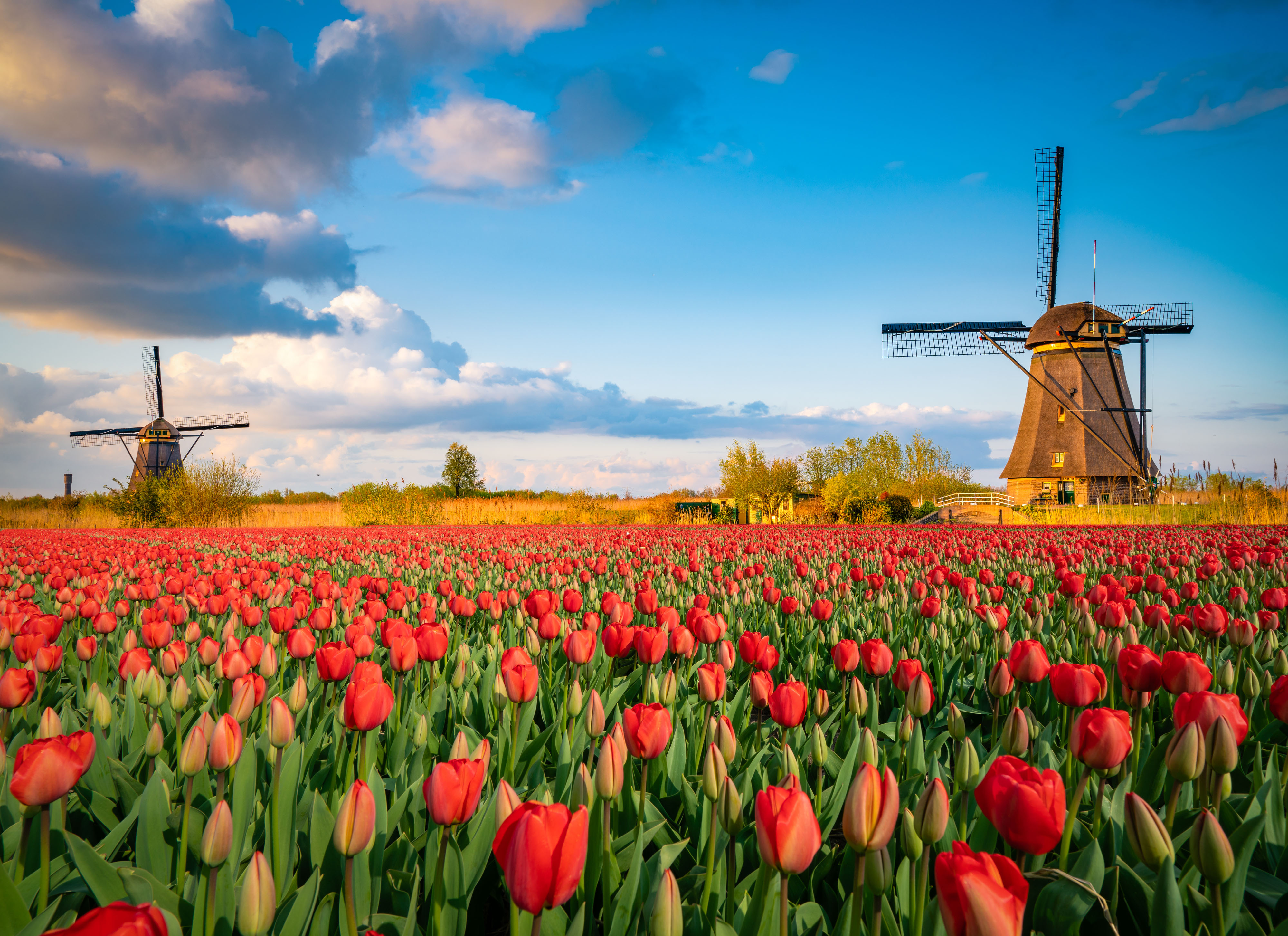 Niederlande